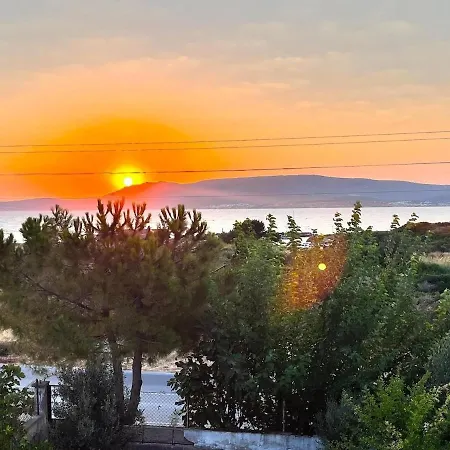 Oez Apartment Urla