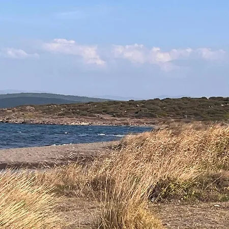 Oez Apartment Urla